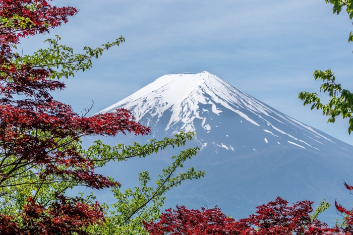 Enchanting Tokyo