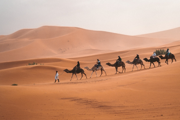 Essence of Egypt